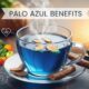 Palo Azul Benefits