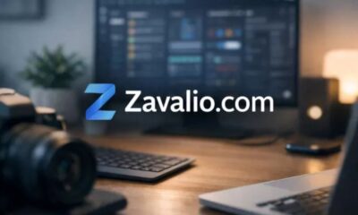 zavalio.com