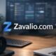 zavalio.com